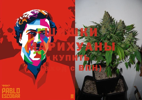 гидра Переславль-Залесский