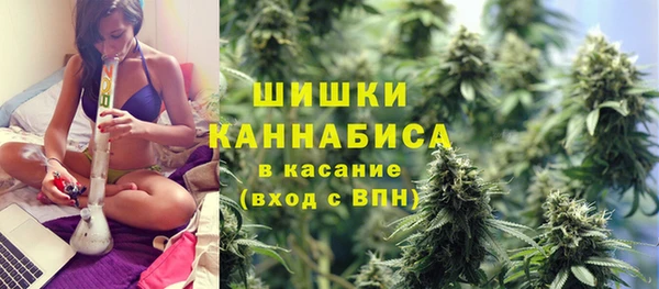 гидра Переславль-Залесский