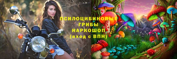 гидра Переславль-Залесский