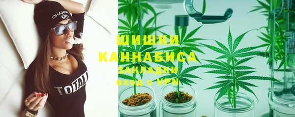 apvp Пересвет
